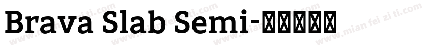 Brava Slab Semi字体转换